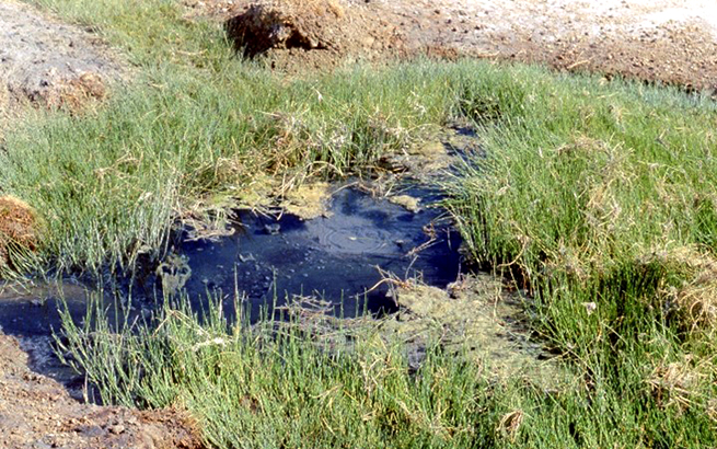 Spring deposits