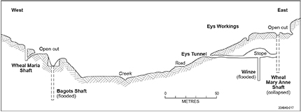 Figure 3 Schematic cross-section drawn parallel to the Amanda mine line of lode. (After Drew 1991).