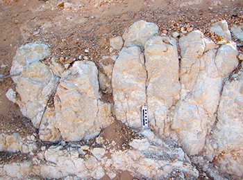 Figure 5b Detail of silcrete columns.