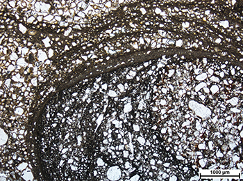 Figure 6d Photomicrograph of silcrete glaebule (c).