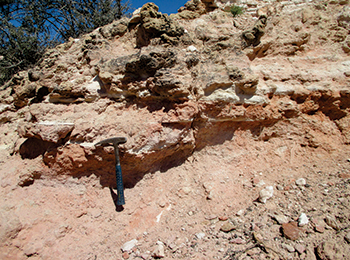 Figure 9c Planar bedding and lamination.