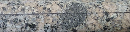Figure 8(c) Porphyritic granodiorite from CDP003 with a mafic enclave.