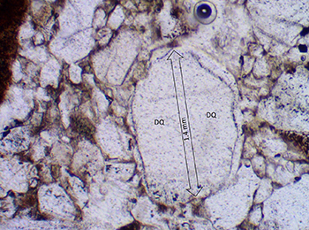 Figure 7(b) Photomicrograph of Whyalla Sandstone.