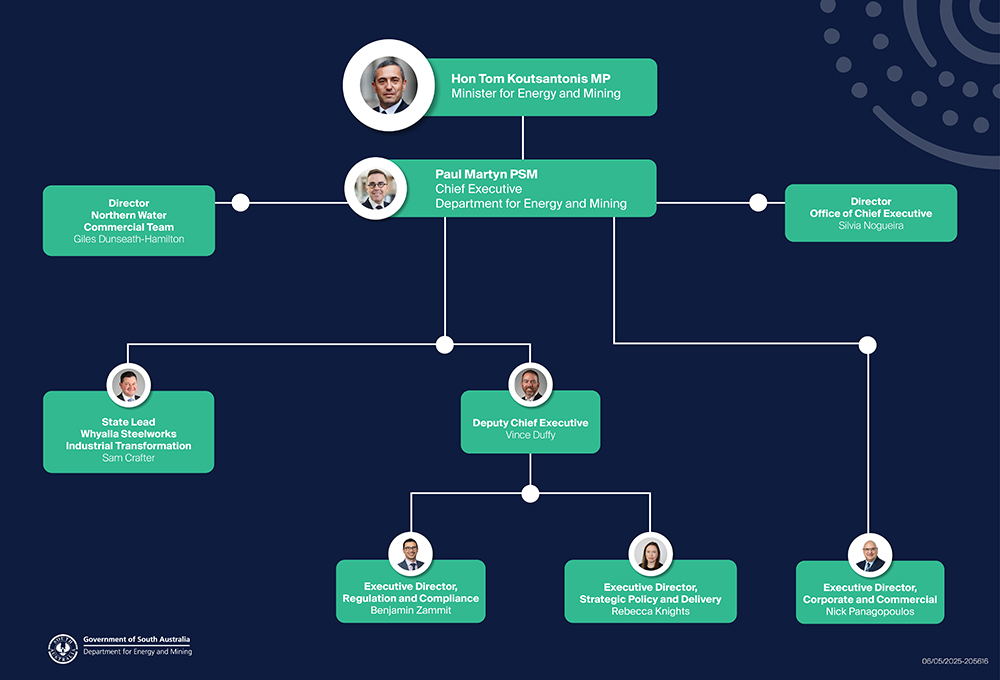 DEM organisational chart