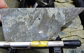 Figure 9b Semi-massive pyrite and silica replacement of sericite-altered volcaniclastic formed on the margin of an ?intrusive volcanic breccia, 555.4 m. (Photo 416129)