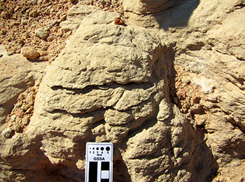 Figure 9d Planar bedding and lamination.