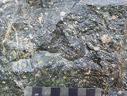 Figure 5c Sericite-altered porphyritic granodiorite observed in the Tongchang pit.