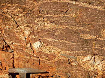 Figure 2f Typical garnetiferous stromatic migmatite of the Christie Gneiss.