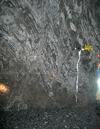 Figure 3a Example of migmatite and quartz veins that host gold ore at the Challenger mine.