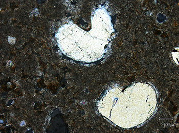 Figure 8(a) Photomicrograph of Whyalla Sandstone.