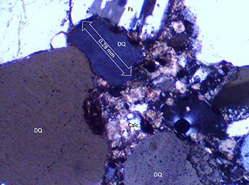 Figure 10(a) Photomicrograph of Whyalla Sandstone.