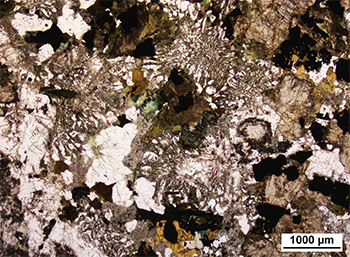 Figure 6a Patches of radiating micrographic quartz–K-feldspar intergrowths within plagioclase–clinopyroxene–magnetite–hornblende–biotite dolerite. (Sample 2014838, plane-polarised light; photo 416698)