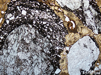 Figure 6f Photomicrograph of silcrete conglomerate composed of reworked glaebules.