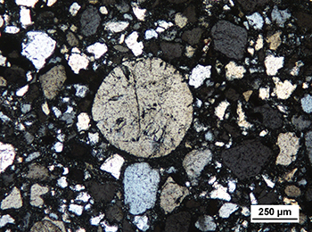 Figure 10b Quartz grain with apparent high sphericity.