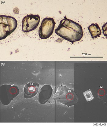 Figure 11 Zircons from sample 2079358.