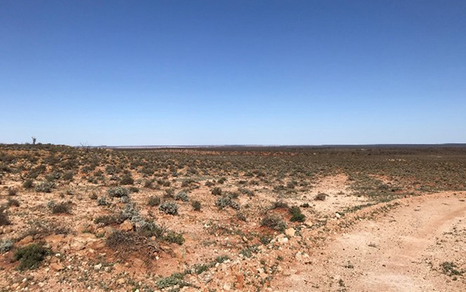 Colluvial sediments