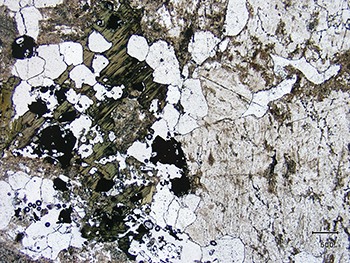 Figure 4 Photomicrograph of incipient clay-alteration, Samphire granite, MRC007A. (Photo 416221)