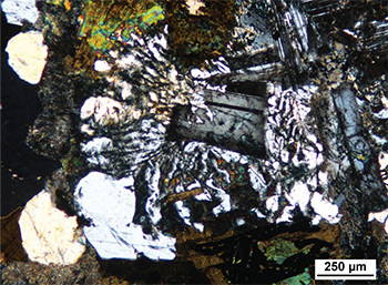 Figure 6b Radiating quartz–K-feldspar intergrowth nucleated on plagioclase crystal. (Sample 2014838, cross-polarised light; photo 416699)