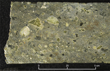 Figure 1 Lower Gawler Range Volcanics, host to the Paris silver deposit, drillhole PPDH001, 111.93–113.85 m. (Courtesy of Investigator Resources; photo 416756)