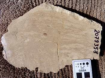 Figure 9f Cut section of variably silcretised sandstone showing laminar mottling.