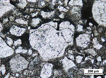 Figure 10c Angular composite quartz grain.