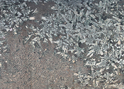 Figure 9(a) Core photograph of the doleritic phase from CDP002.