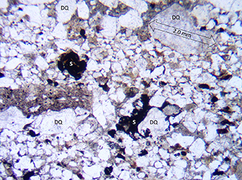 Figure 11(a) Photomicrograph of Whyalla Sandstone.