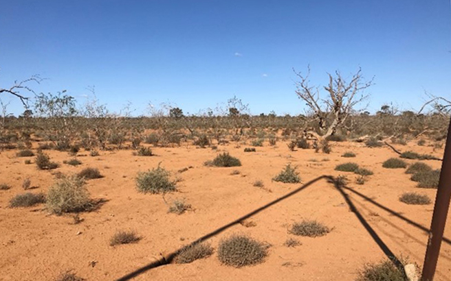 Alluvial sediments