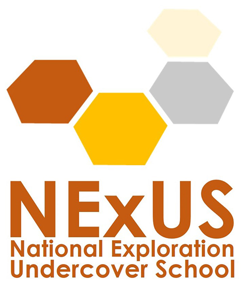 NExUS logo