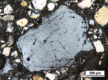 Figure 10d Angular composite quartz grain.