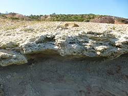 Figure 21 Hallett Cove Sandstone overlying the Cape Jervis Formation.