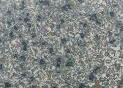 Figure 9(b) Core photograph of the more equigranular dolerite from CDP002.