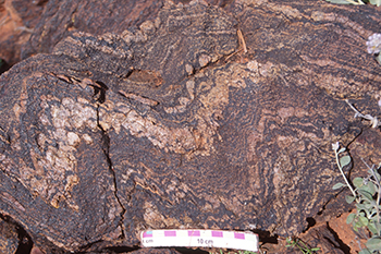 Figure 3 Meta-BIF of granulite facies, early Paleoproterozoic outcrop at Mount Christie. (Photo 047688)