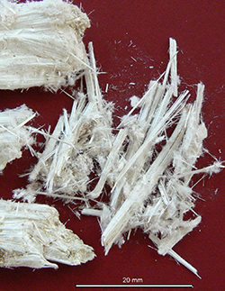 Figure 2a Asbestiform antigorite from historic quarry site near Rowland Flat. (Photo 416590)