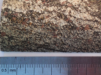 Figure 2b Garnet–biotite gneiss. (Photo 416751) Figure 2b Garnet–biotite gneiss. (Photo 416751)