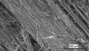 Figure 2b Scanning electron micrograph of fibre bundles of antigorite composed of long thin and flexible asbestiform fibres, Rowland Flat. (Photo 416591)