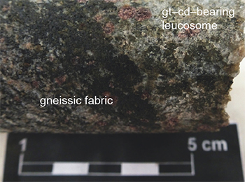 Figure 2c Crosscutting garnet–cordierite-bearing leucosome. (Photo 416752) Figure 2c Crosscutting garnet–cordierite-bearing leucosome. (Photo 416752)