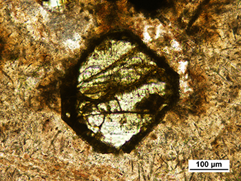 Figure 5a Fresh clinopyroxene phenocryst, lower part of Eucarro Rhyolite in MSDP05. (Plane-polarised light; SA Geodata rock sample 2137855; photo 416270)