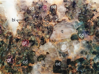 Figure 2d Thick section of garnet–cordierite-bearing leucosome in 2(c). (Photo 416753)