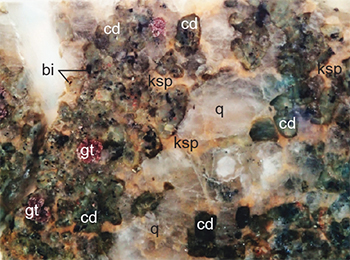 Figure 2d Thick section of garnet–cordierite-bearing leucosome in 2(c). (Photo 416753) Figure 2d Thick section of garnet–cordierite-bearing leucosome in 2(c). (Photo 416753)