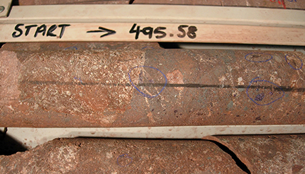 Core sample from the PACE co-funded discovery hole of the Carrapateena deposit, CAR002, showing bornite mineralisation in hematite breccia. (Photo 401840)