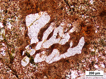 Figure 6a Photomicrograph of resorbed skeletal feldspar phenocryst, Pondanna Dacite Member. (Plane-polarised light; sample 2138774; photo 416272)
