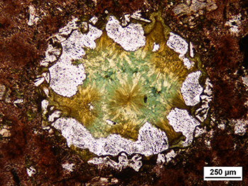 Figure 7b Photomicrograph of quartz and chlorite filled vesicle within Pondanna Dacite Member. (Plane-polarised light; sample 2138774; photo 416275)