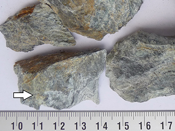 Figure 3a Serpentinite samples collected from surface outcrop, 100 m west of southern portal entrance to the Kirchdorf tunnel. (Vortisch and Baur 2018, sample 4; image courtesy of W Vortisch)