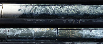 Figure 8c Dark green-grey sericite–chlorite metasomatite (top) and ‘worm-like’ quartz-rich aggregates (bottom). (Photo 416624)
    