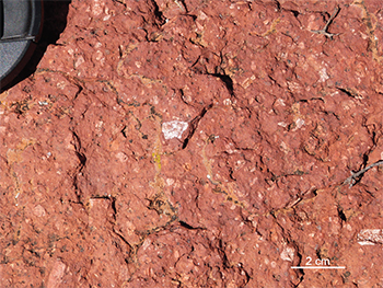 Figure 4a Angle Dam Dacite, composed of feldspar and quartz phenocrysts in a fine-grained groundmass. (Photo 416682)