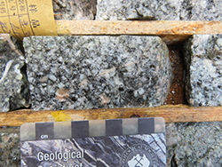 Figure 5d Medium- to coarse-grained granodiorite observed in the Tongchang pit.