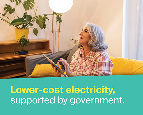 Lower-cost electricity supported by government