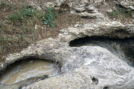 Exposure of the silicified breccia of the Kurrajong Formation.