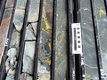 Figure 10 Felsic intrusive (top row), grading to endo-skarn (muscovite-, chlorite-, epidote-, pyroxene-altered intrusive) to 410.5 m, followed by magnetite-, serpentine- and amphibole-rich exo-skarn, MSDP11. (Photo 416130)